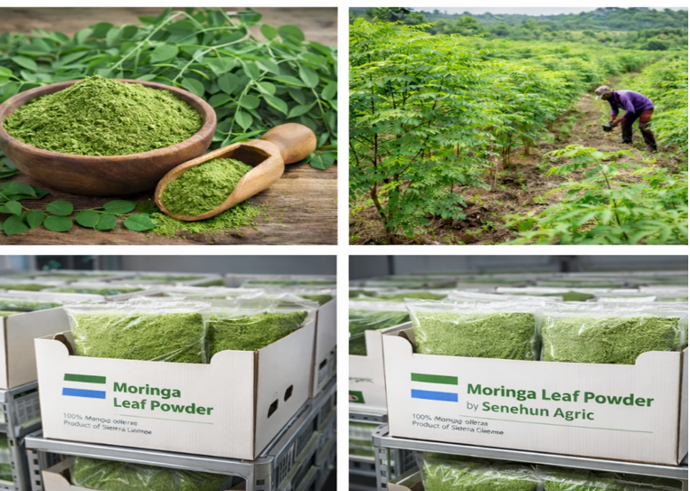 Moringa products